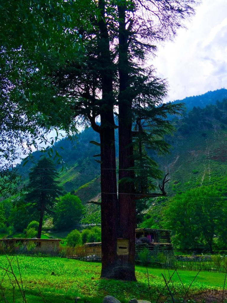 Chitral Inn Resort 외부 사진